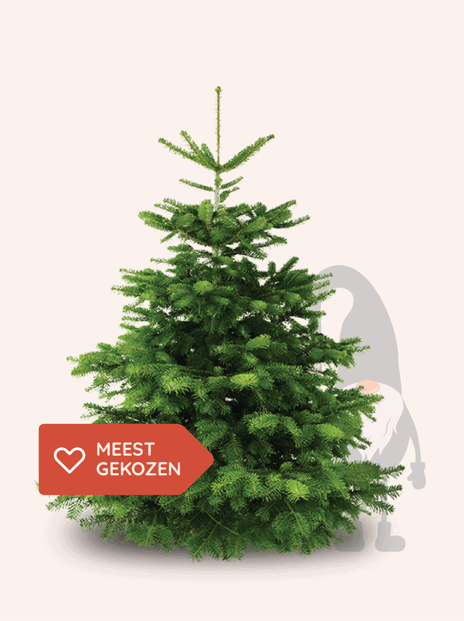 Nordmann Kerstboom - 200 tot 225cm
