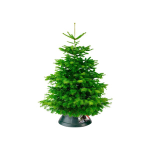 Elho Kerstboomstandaard